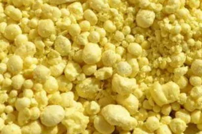 social-resposibility